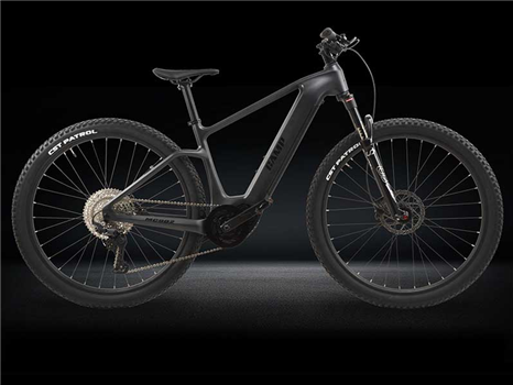 ELECTRIC  MOUNTAIN BIKE MC902